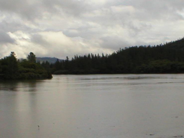 P1010137.JPG
