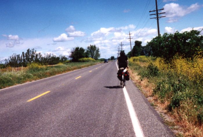 amy_on_road.jpg