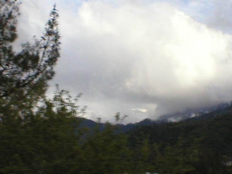 P1010138.JPG