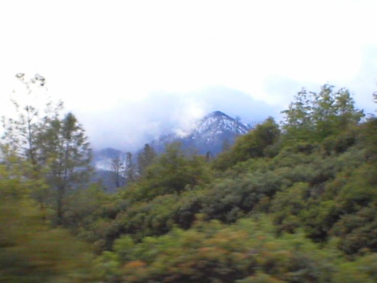 P1010148.JPG