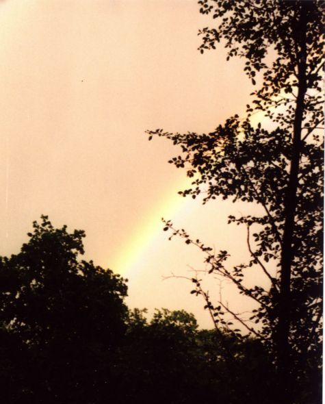 rainbow.jpg