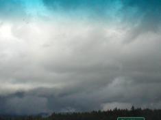 P1010130.JPG