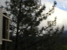 P1010140.JPG