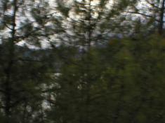 P1010141.JPG